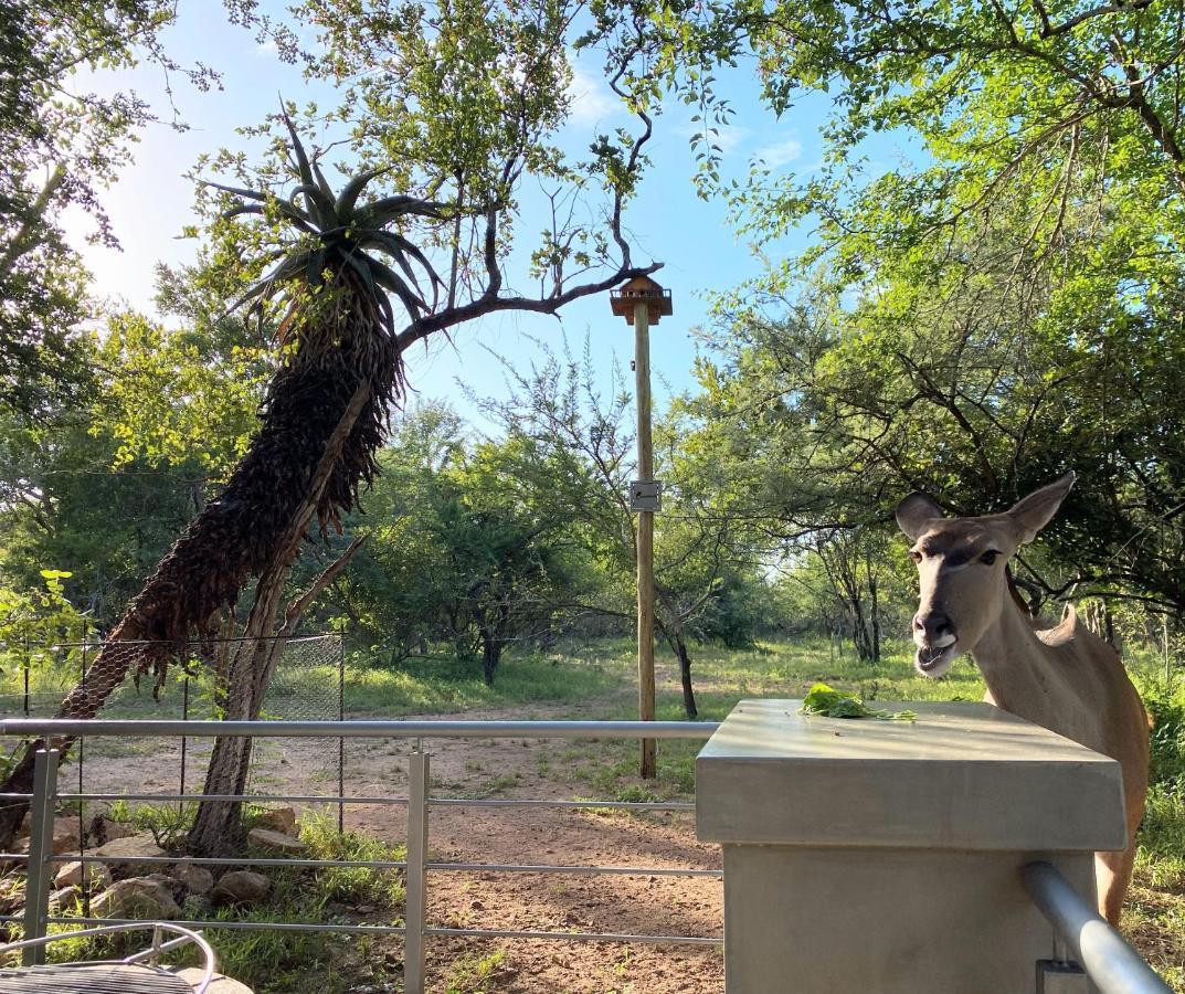 Kruger'S Keep - Luxury Couples Haven Villa Marloth Park Luaran gambar